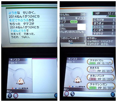 色キノココ Xy 色ポケめも