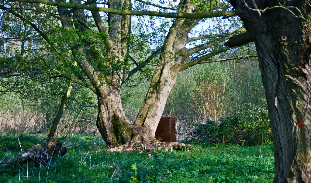 The Nature Reserve