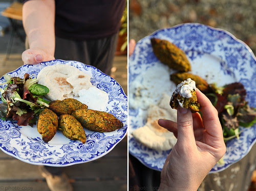 veggie pumpkin falafel 2-luik