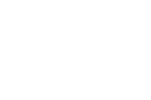 レース丸 レース素材専門サイト Da Lace ダ レース