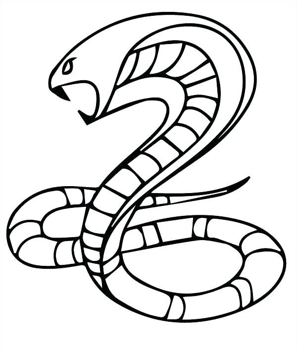 Download Free Snake Coloring Pages at GetDrawings | Free download