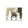Amazon.com - Silent Night Nativity Christmas Yard Art ...