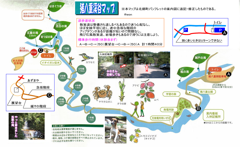 猪八重渓谷森林セラピーロードウォーキングの案内