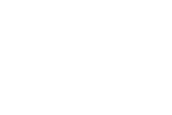 綺麗なまっすぐレースweb素材 レース素材専門サイト Da Lace ダ レース