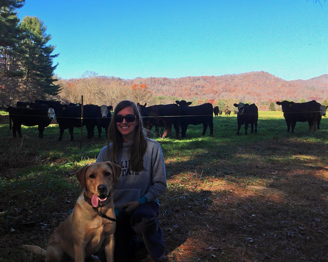 cows, me, pouncey, and pouncey's tongue