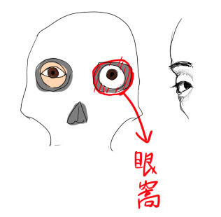 目の角度色々 イラストのはなしをしよう