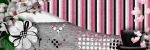  photo EASfanof_byevolangel.gif