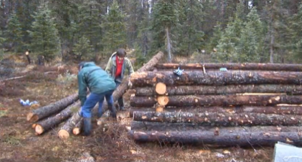 Tiny Pioneer Log Cabin in Alaska Built in 15 Days?