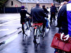 A Little Bit of Busy Bike Lane (by [Zakkaliciousness])
