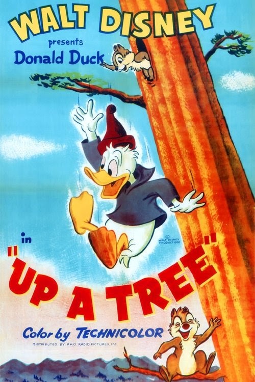 In cima all'albero Streaming Italiano 1955 Guarda Film Completo Italia
720p
