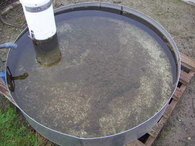 evaporation pan