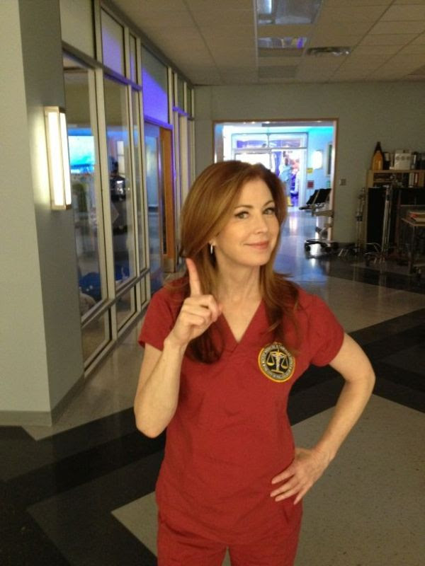 Model Dana Delany Twitter Pic
