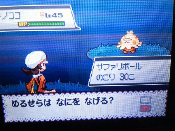 メルチラ メルセラのチラシの裏 Dsリセットでサファリゾーンのエリア値上げ