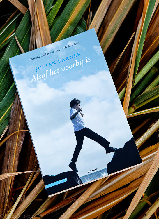 Book review julian barnes