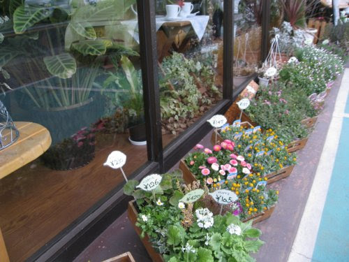 青梅タウン情報 青梅市 羽村市 福生市 あきる野市の売買不動産 賃貸マンション アパート 株式会社桑都不動産