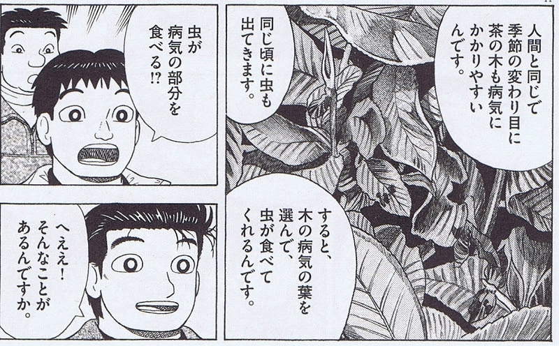 美食礼賛だけではない 美味しんぼ で食の安全性を学ぶ Webマガジン Ethica エシカ 私によくて 世界にイイ