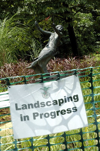 landscaping in progress