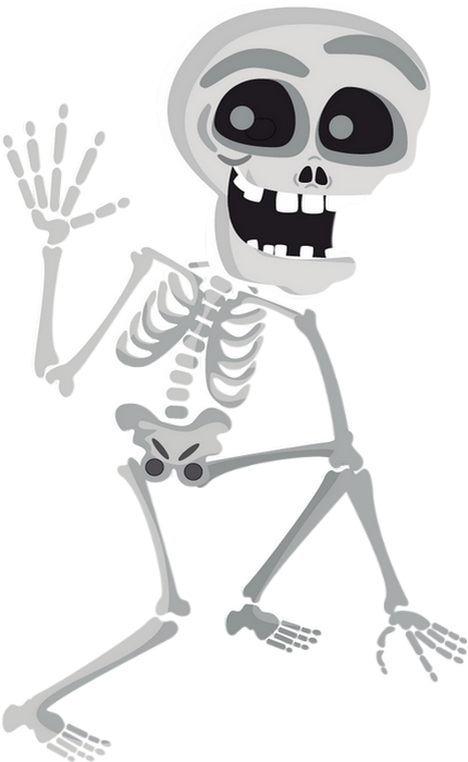 Squelette Png Dessin Tube Halloween Skeleton Drawing