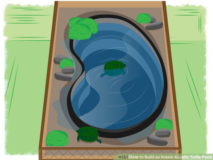Build an Indoor Aquatic Turtle Pond Step 8.jpg