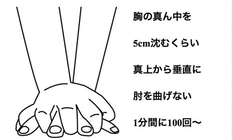 スマホやタブレットで見る心肺蘇生 胸骨圧迫 タイガー ブルドッグ 虎ブル Hp Dtp編
