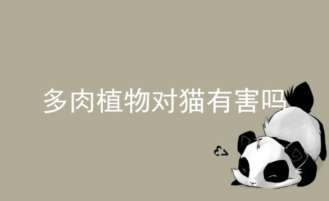 多肉植物对猫有害吗 植物多肉会把猫毒死吗 对猫狗有致命危机的十大室内植物 宠伴网