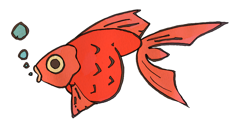 金魚のイラスト かわいいフリー素材が無料のイラストレイン