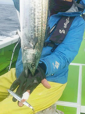 サワラジギング タックル紹介 サワラが好むカラーを使うといいですよ 湘南ルアー情報局