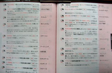 大学受験学参ソムリエ１３ 世界史 日本史の一問一答 猫ギターの教育論