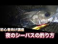 コンプリート！ シーバス ���釣り ミノー 313912-シーバ��� 夜釣り ミノー