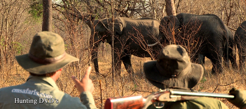 Charlton Mccallum Safaris Zimbabwe Safari Tours Hunting Big Game Trophies In Dande Safari Area Zimbabwe Africa
