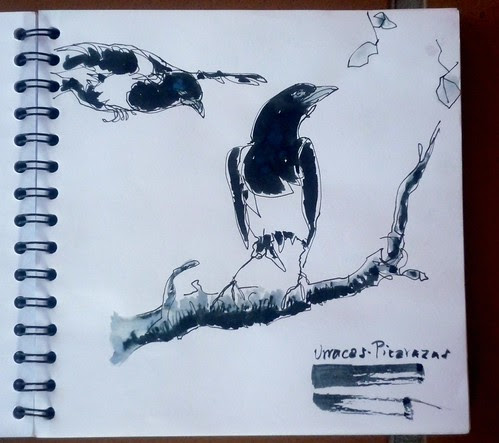 dibujando en el museo 32sktcrawl