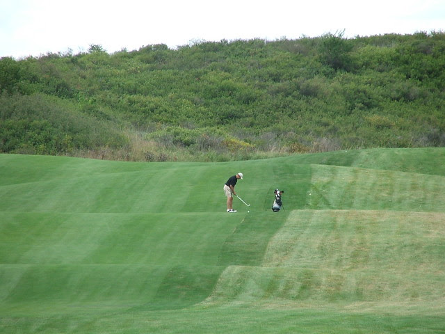 Prarie Dunes 8th