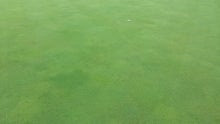 20140825_072811.jpg