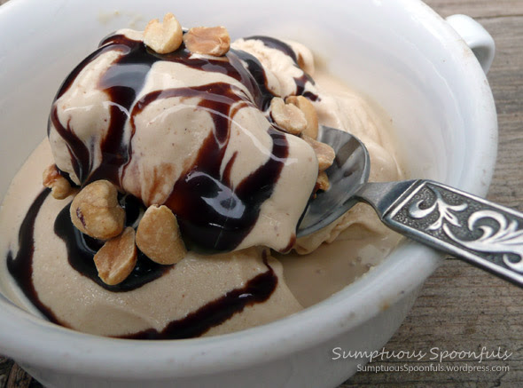Peanut Butter Ice Cream Low Fat Sumptuous Spoonfuls