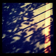 Shadows on the road