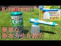 高麗 芝 肥料 165751