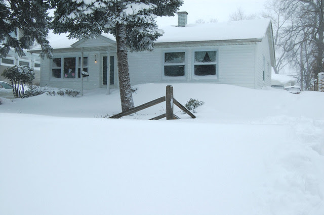 Snow 06