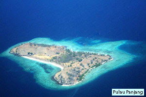 pulau panjang karang asem 