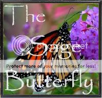 TheSageButterfly
