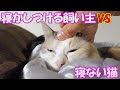 √99以上 眠らない動物 232616-眠らない動物