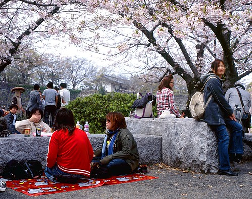 Hanami