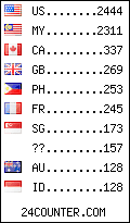 visitors by country counter