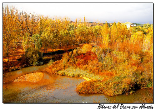 Riberas del Duero. Almazán