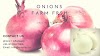 White Onions | Red Onions | Supplier