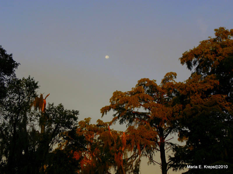 Moon