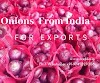 Indian Onion Importer in Malaysia