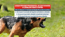 stirileprotv.ro