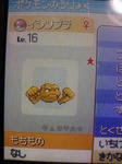 ポケットモンスタープラチナ ７ もりのようかん まよいのどうくつ ゲームのこと