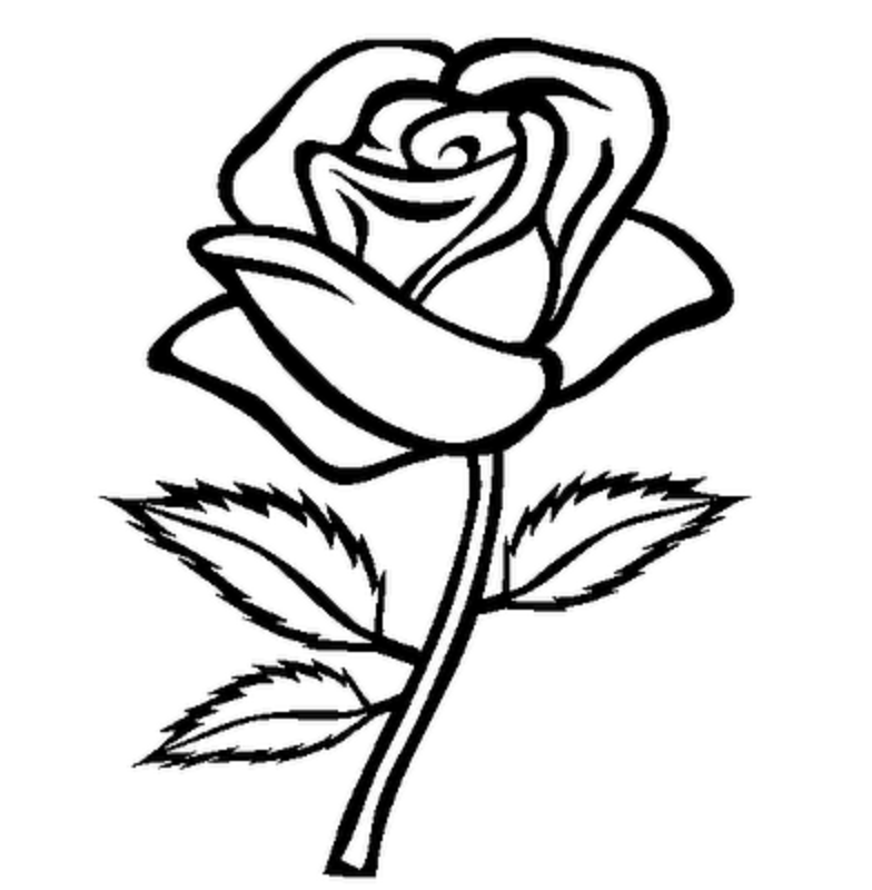 Free Rose Cartoon Drawing Download Free Clip Art Free Clip Art On Clipart Library Don't get caught up in how you think the rose should look on.