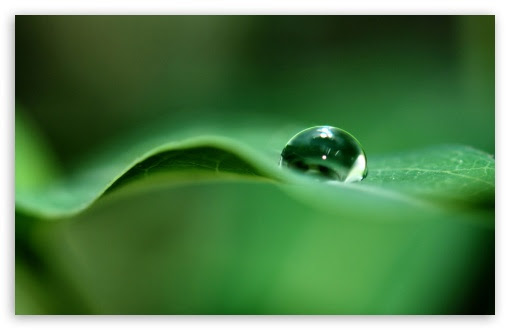 Drop Of Water HD desktop wallpaper : Mobile : Dual Monitor